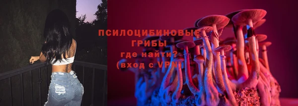 трава Арсеньев
