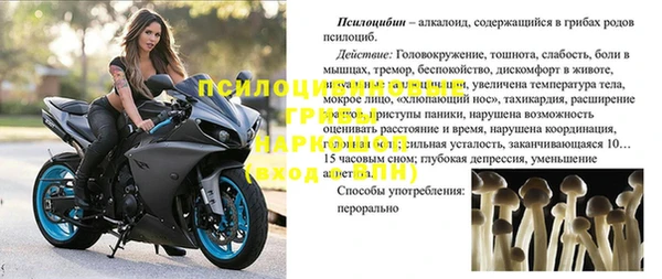 трава Арсеньев