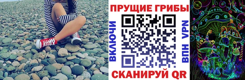 как найти Светогорск МЕГА зеркало Галлюциногенные грибы мухоморы